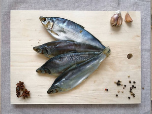 Сом кольцо горячего копчения: Пелядь вяленая