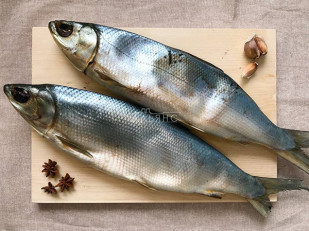 Форель паутинка: Сиг вяленый