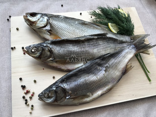 Форель паутинка: Плотва вяленая